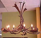 Fallow Chandelier by Greg Kent